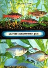 Книга - Ю. А. Корзюков - Болезни аквариумных рыб (fb2) читать без регистрации
