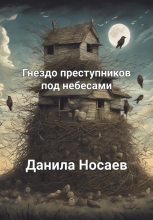 Книга - Данила  Носаев - Гнездо преступников под небесами (fb2) читать без регистрации