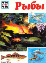 Книга - Джеффри  Коу - Рыбы (fb2) читать без регистрации