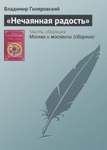 Книга - Владимир Алексеевич Гиляровский - «Нечаянная радость» (fb2) читать без регистрации
