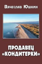 Книга - Вячеслав  Юшкин - Продавец кондитерки 2 (СИ) (fb2) читать без регистрации