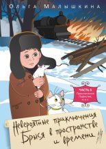 Книга - Ольга  Малышкина - Брысь или приключения одного М.Н.С. (fb2) читать без регистрации