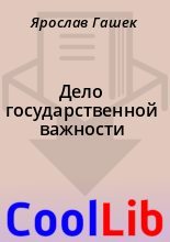 Книга - Ярослав  Гашек - Дело государственной важности (fb2) читать без регистрации