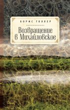 Книга - Борис Александрович Голлер - Возвращение в Михайловское (fb2) читать без регистрации