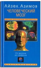 Книга - Айзек  Азимов - Человеческий мозг. От аксона до нейрона (fb2) читать без регистрации