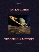Книга - Рэй  Каммингз - Человек на метеоре (fb2) читать без регистрации