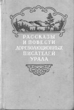 Книга - Александр Гаврилович Туркин - Вага (fb2) читать без регистрации