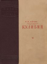 Книга - Николай Иванович Кочин - Кулибин (fb2) читать без регистрации
