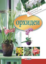 Книга - Мария Павловна Згурская - Орхидеи (fb2) читать без регистрации