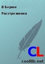 Книга - В.  Бирюк - Расстрижонка (fb2) читать без регистрации