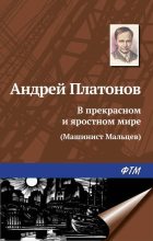 Книга - Андрей  Платонов - В прекрасном и яростном мире (Машинист Мальцев) (fb2) читать без регистрации