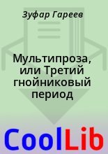 Книга - Зуфар  Гареев - Мультипроза, или Третий гнойниковый период (fb2) читать без регистрации