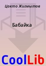 Книга - Цокто  Жигмытов - Бабайка (fb2) читать без регистрации