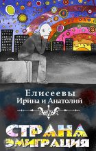 Книга - Ирина  Елисеева - Страна Эмиграция (fb2) читать без регистрации