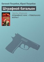 Книга - Евгений Сергеевич Погребов - Штрафной батальон (fb2) читать без регистрации
