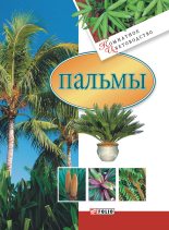 Книга - Мария Павловна Згурская - Пальмы (fb2) читать без регистрации