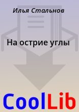 Книга - Илья  Стальнов - На острие углы (fb2) читать без регистрации