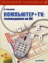 Книга - Виктор  Гольцман - Компьютер + TV: телевидение на ПК (fb2) читать без регистрации