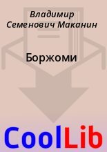 Книга - Владимир Семенович Маканин - Боржоми (fb2) читать без регистрации