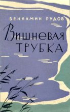 Книга - Вениамин Семенович Рудов - Вишневая трубка (fb2) читать без регистрации