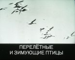 Книга - А. М. Чельцов - Перелётные и зимующие птицы (pdf) читать без регистрации