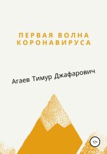 Книга - Тимур Джафарович Агаев - Первая волна Коронавируса (fb2) читать без регистрации