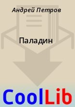 Книга - Андрей  Петров - Паладин (fb2) читать без регистрации