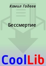 Книга - Камил  Гадеев - Бессмертие (fb2) читать без регистрации