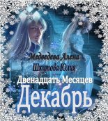 Книга - Алена Викторовна Медведева - Двенадцать Месяцев. Декабрь (fb2) читать без регистрации