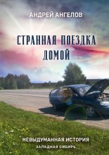 Книга - Андрей  Ангелов - Странная поездка домой (fb2) читать без регистрации