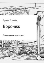 Книга - Денис Александрович Грачёв - Воронеж (fb2) читать без регистрации