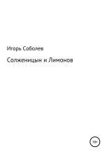 Книга - Игорь  Соболев - Солженицын и Лимонов (fb2) читать без регистрации