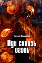 Книга - Евгений Александрович Филимонов - Иди сквозь огонь (fb2) читать без регистрации
