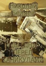Книга - Николай Владимирович Беляев - Два дня перед каникулами (fb2) читать без регистрации