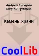 Книга - Андрей Бударов  Андрей Бударов - Камень, храни (fb2) читать без регистрации