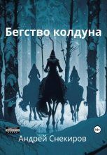 Книга - Андрей  Снекиров - Бегство колдуна (fb2) читать без регистрации