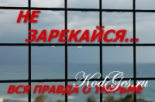 Книга - Владимир Андреевич Ажиппо - Не зарекайся (fb2) читать без регистрации