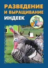 Книга - Илья  Мельников - Разведение и выращивание индеек (fb2) читать без регистрации