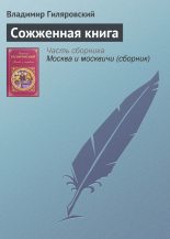 Книга - Владимир Алексеевич Гиляровский - Сожженная книга (fb2) читать без регистрации