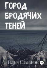 Книга - Илья Сергеевич Ермаков - Город бродячих теней (fb2) читать без регистрации