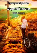 Книга - Екатерина Валерьевна Зорькина - Дорогой жизни: Путь к свету (fb2) читать без регистрации