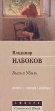 Книга - Владимир Владимирович Набоков - Забытый поэт (fb2) читать без регистрации