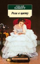 Книга - Луиза Мэй Олкотт - Роза в цвету (fb2) читать без регистрации