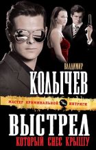 Книга - Владимир Григорьевич Колычев - Выстрел, который снес крышу (fb2) читать без регистрации