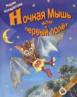 Книга - Мария  Кондратова - Ночная Мышь, или Первый полет (fb2) читать без регистрации