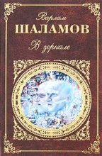 Книга - Варлам Тихонович Шаламов - В зеркале (fb2) читать без регистрации