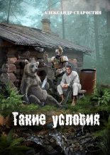 Книга - Александр Иванович Старостин - Такие условия (fb2) читать без регистрации