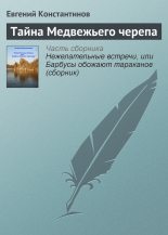 Книга - Евгений Михайлович Константинов - Тайна Медвежьего черепа (fb2) читать без регистрации