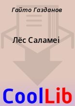 Книга - Гайто  Газданов - Лёс Саламеі (fb2) читать без регистрации