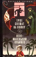 Книга - Василий Михайлович Чичков - Трое спешат на войну. Пепе – маленький кубинец (fb2) читать без регистрации